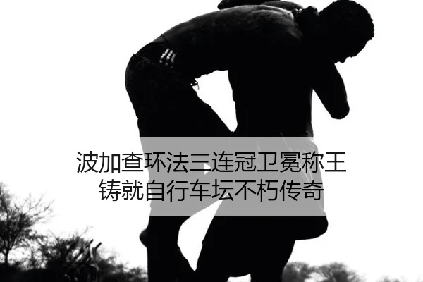 bo-jia-cha-huan-fa-san-lian-guan-wei-mian-cheng-wang-zhu-jiu-zi-xing-che-tan-bu-xiu-chuan-qi-2-543.jpg