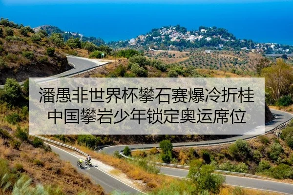 潘愚非世界杯攀石赛爆冷折桂 中国攀岩少年锁定奥运席位